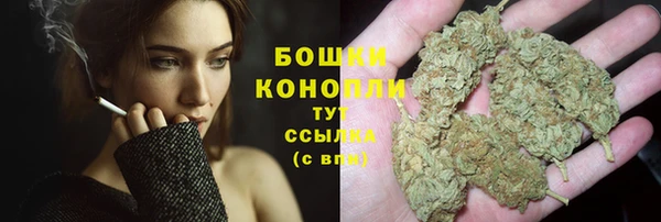 кокс Белокуриха
