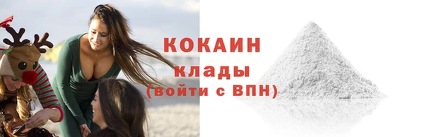 трава Няндома