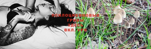 стаф Белоозёрский