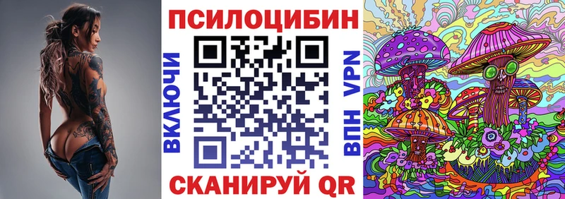 Галлюциногенные грибы Psilocybe  Южно-Сухокумск 